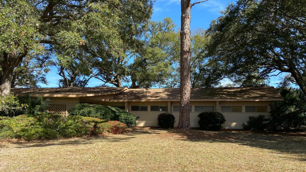 una casa con un árbol delante de ella en ALMOST HEAVEN home en Jekyll Island