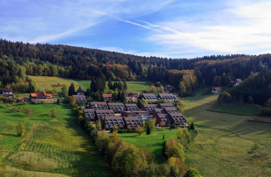 an aerial view of a village in a green field at Terrassenpark Apartments (low budget) in Sasbachwalden