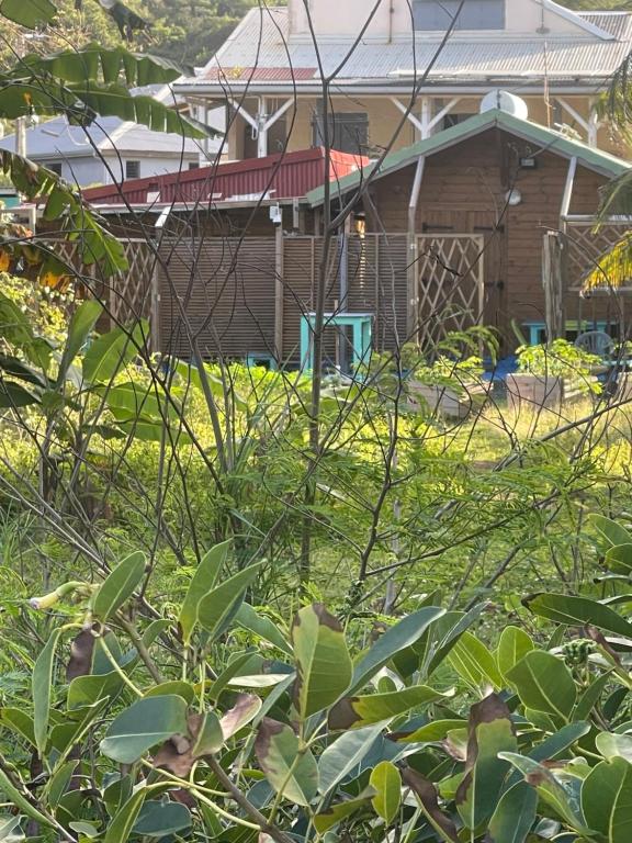 Zahrada ubytování 2 Bungalows au bord de la plage de montal a moule loués individuellement ou ensemble
