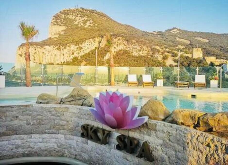 a pink flower sitting on top of a wall next to a swimming pool at 5 star Luxurious Ocean Spa Plaza in Gibraltar