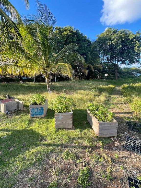 Zahrada ubytování 2 Bungalows au bord de la plage de montal a moule loués individuellement ou ensemble