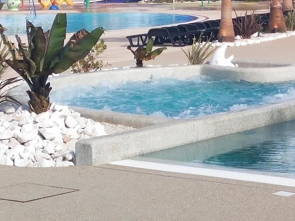 a swimming pool in a resort with a cactus at MOBIL HOME LE PRECIEUX in Valras-Plage