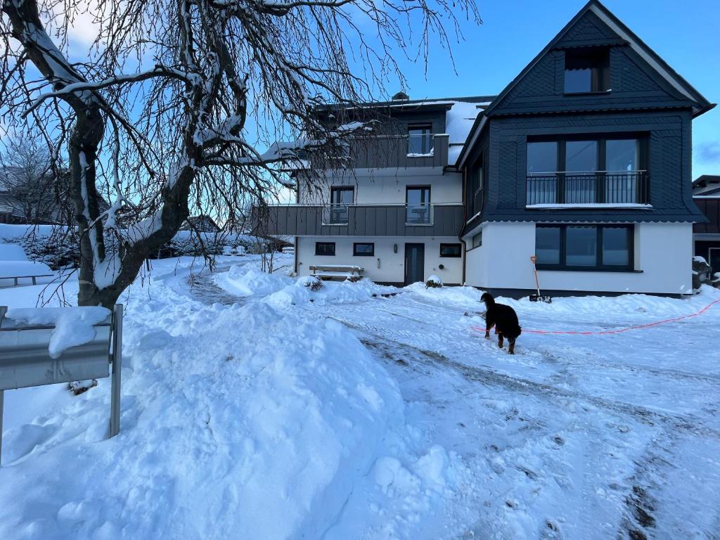 a dog standing in the snow in front of a house at Astrid's Pension in Winterberg