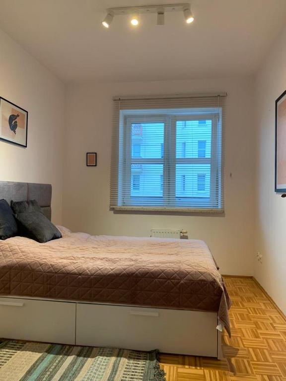Apartament Zieleniec - Appartement Met één Slaapkamer