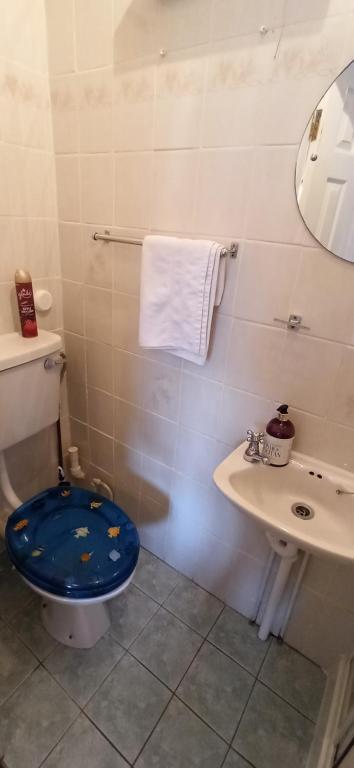 Un baño de The Ferry Boat