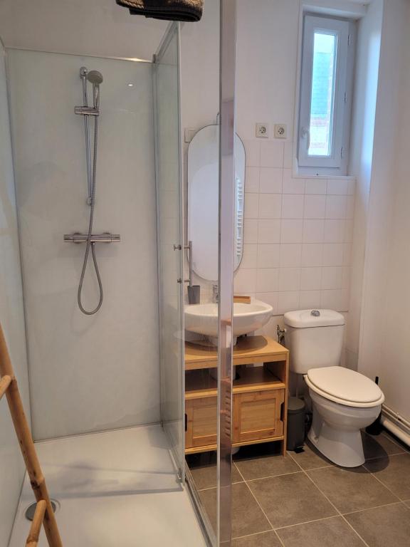 a bathroom with a shower with a toilet and a sink at LA P&#39;TITE YPORTAISE in Yport