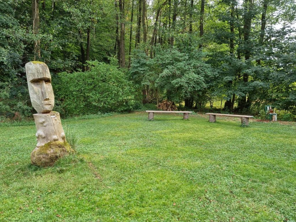 Zahrada ubytování Ferienhaus Rehblick - direkt in der Natur, mit Lesezimmer und zwei Terrassen