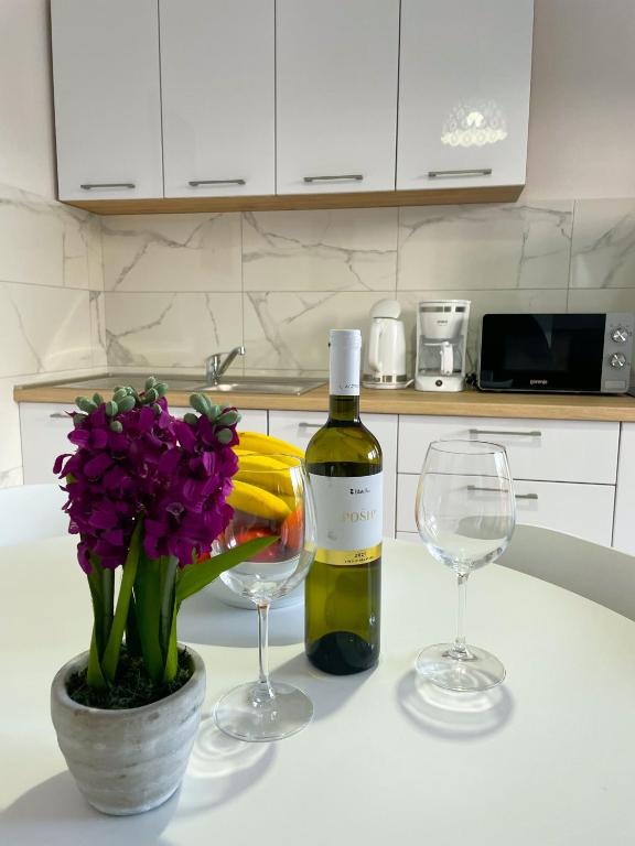 Kuchyňa alebo kuchynka v ubytovaní Spacious Apartment Amaros