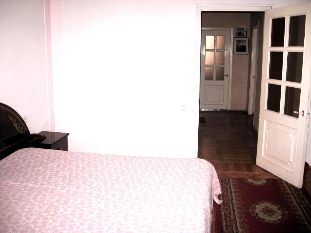 Apartment on Tumanyan - 一居室公寓