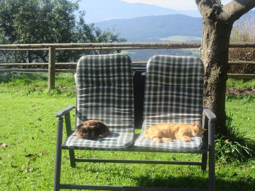 Ferienhaus Hochfelner kisállat-vendégei
