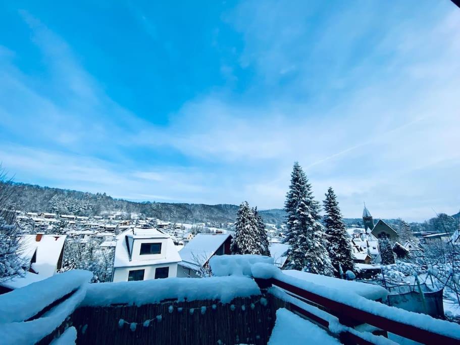 a city covered in snow with trees and houses at Ferienwohnung mit Talblick für Monteure in Kirschhausen