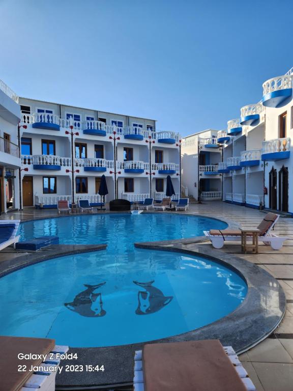 Bazén v ubytování Seaview Hotel Dahab nebo v jeho okolí