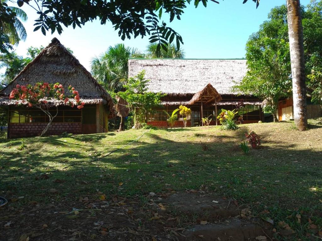 a house with a thatched roof and a yard at Amazon Lodge and Expeditions in Iquitos