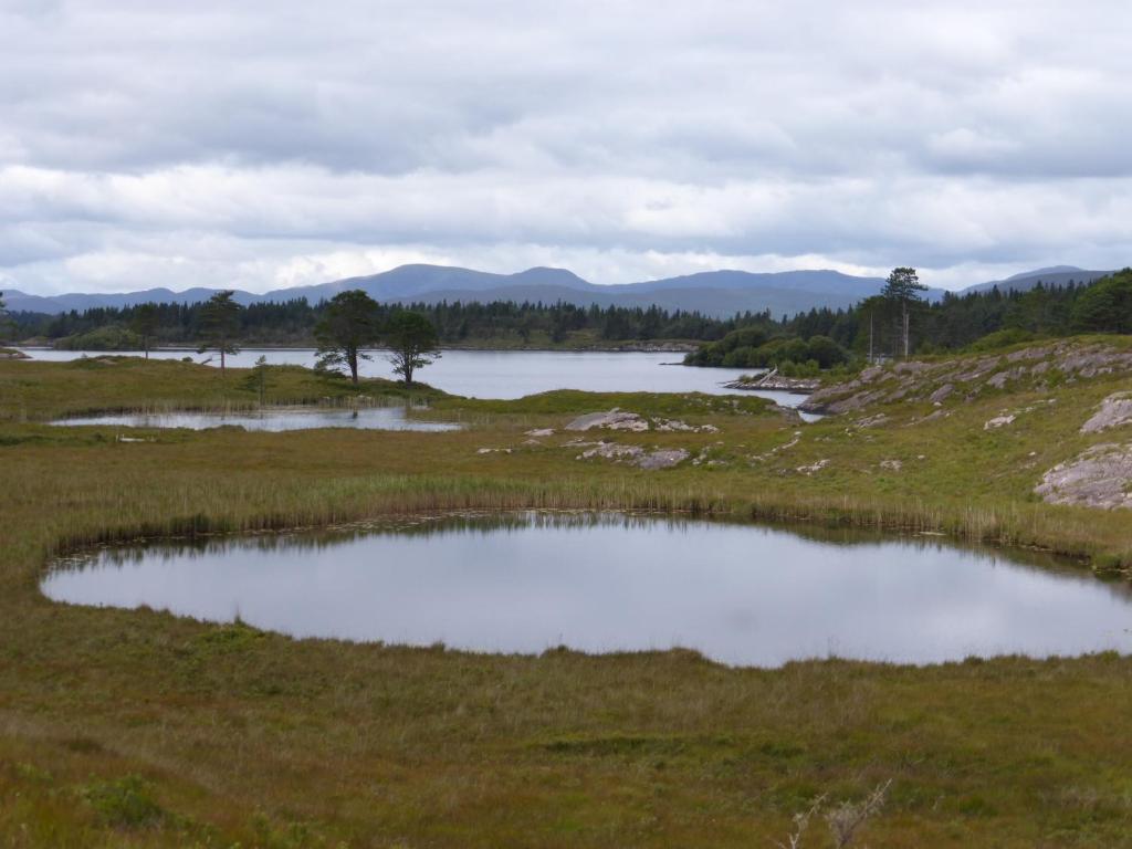 a large pond in a field with mountains in the background at Oakfield in Kenmare