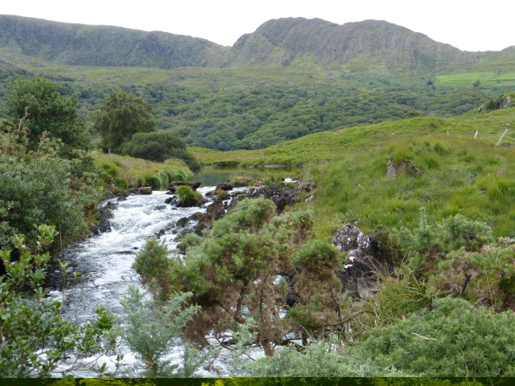 a river in a valley with mountains in the background at Oakfield in Kenmare