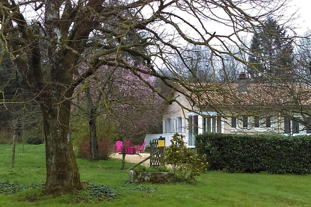 una casa blanca con un árbol en el patio en Calme et sérénité au gîte des hortensias, en Vaux-en Couhé