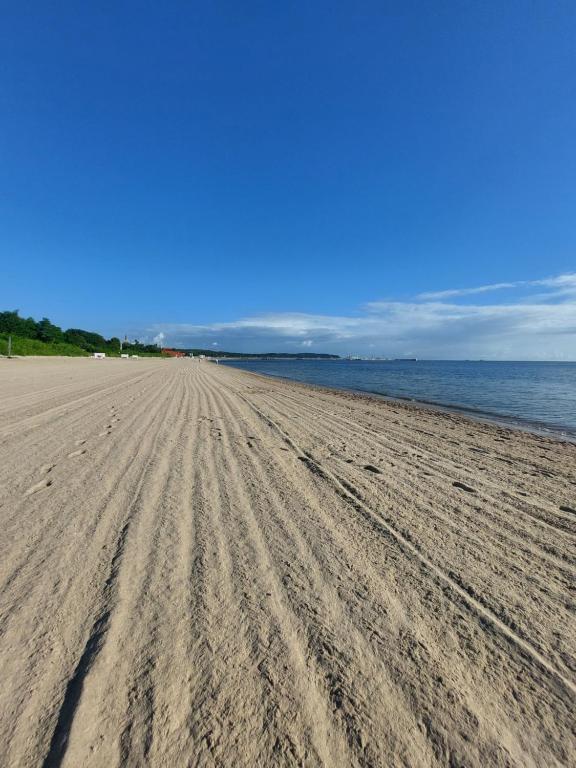 Hotel Testa - Resim 11