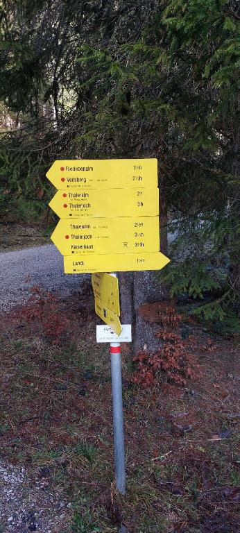 Przyroda w pobliżu tego gospodarstwa agroturystycznego