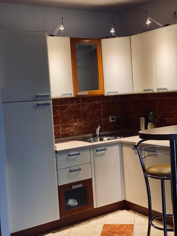 Kuchyňa alebo kuchynka v ubytovaní Apartment Wenus