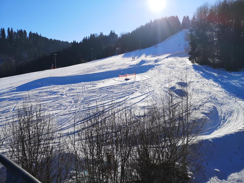 a4a Apartmán Mýto during the winter