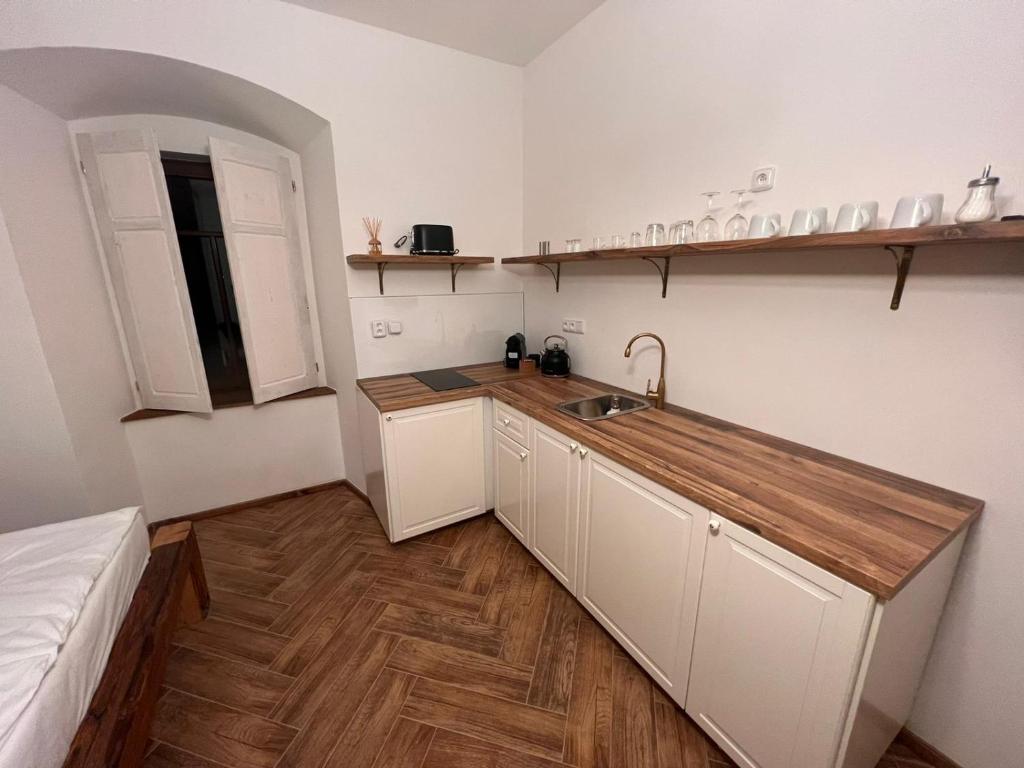 Kuchyň nebo kuchyňský kout v ubytování Penzion Fara pod Milešovkou