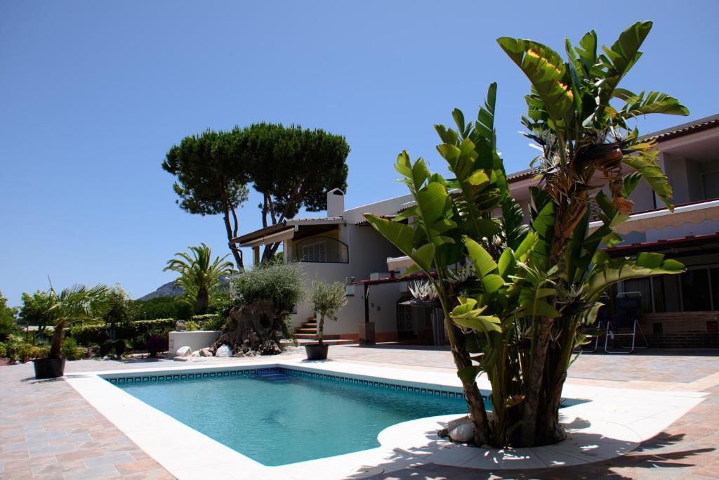 una piscina di fronte a una casa con una palma di B&B Casa Oceo - Málaga - Andalusië ad Alhaurín de la Torre