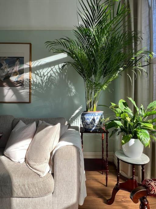 Hotel 2025 Award Winner Liverpool Strawberry House - 3 Bedrooms, a living room with a couch and two potted plants at 2025 Award Winner Liverpool Strawberry House - 3 Bedrooms in Liverpool