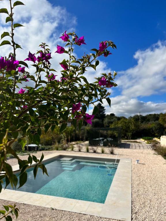 a swimming pool next to a tree with purple flowers at Villa Ada-Trulli Puglia in Martina Franca