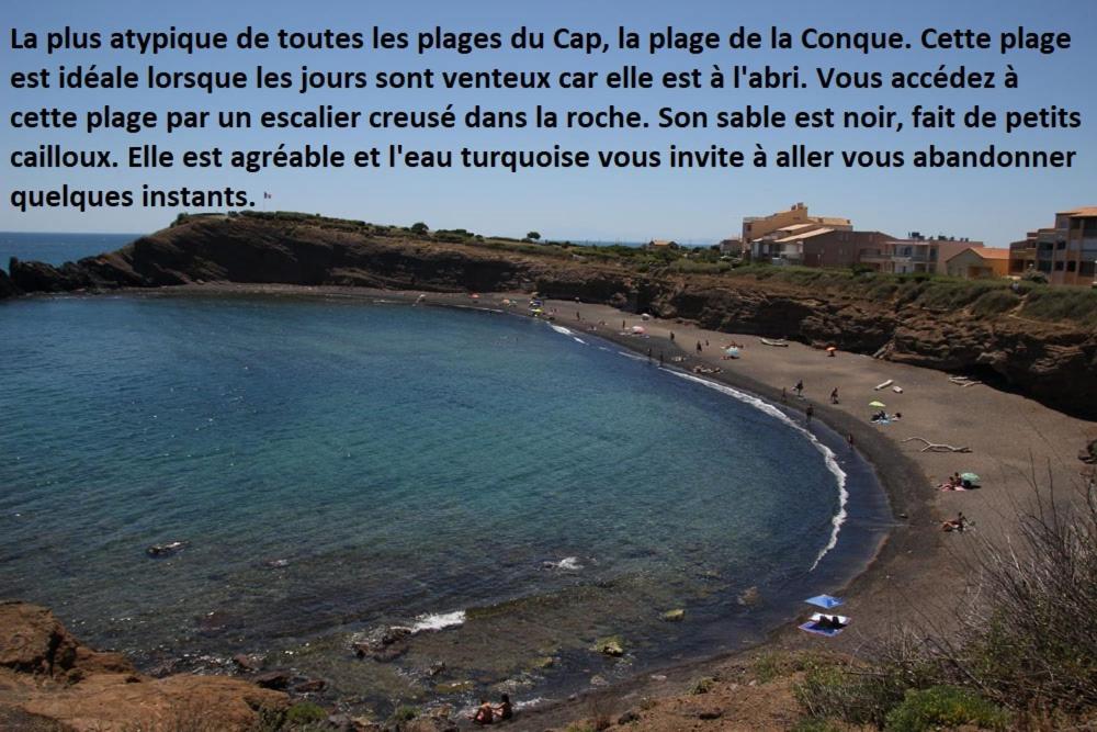 a view of a beach with people in the water at Vue Mer 180° Parking+Lave-Linge+Proche Plages+Piscine in Cap d&#39;Agde