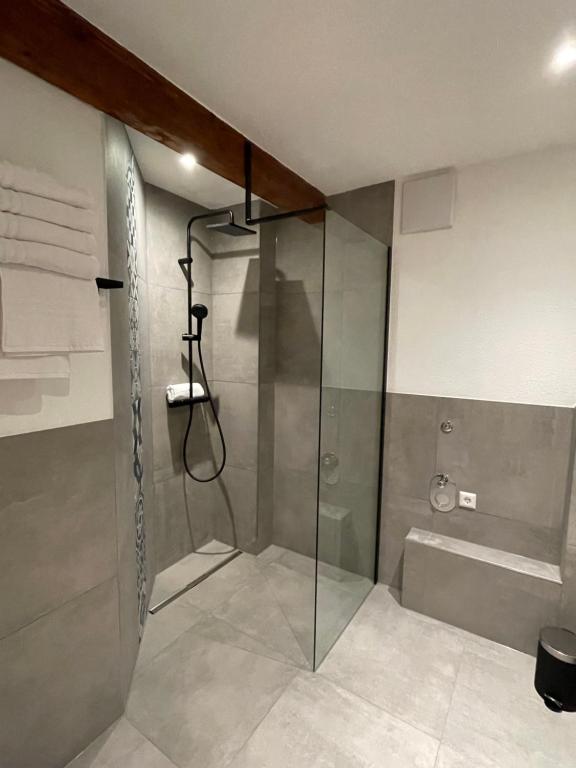 a shower with a glass door in a bathroom at Die Römer in Schwaigern