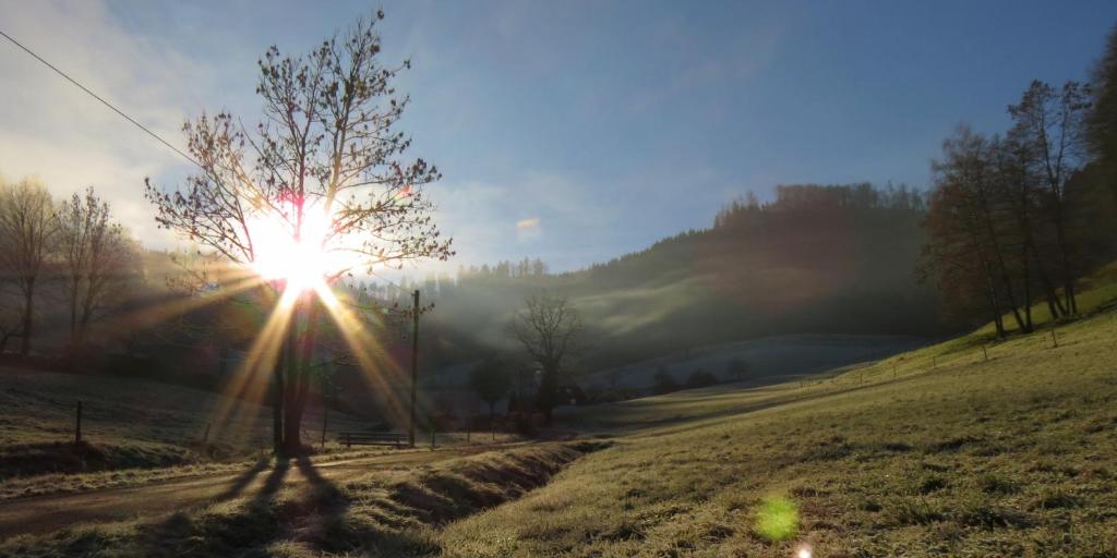 Naturlandschaft in der Nähe der Ferienwohnung