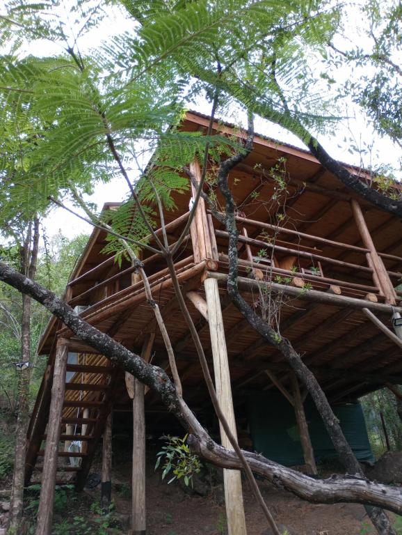 una casa en el árbol en medio del bosque en Cabaña La Isla II en 