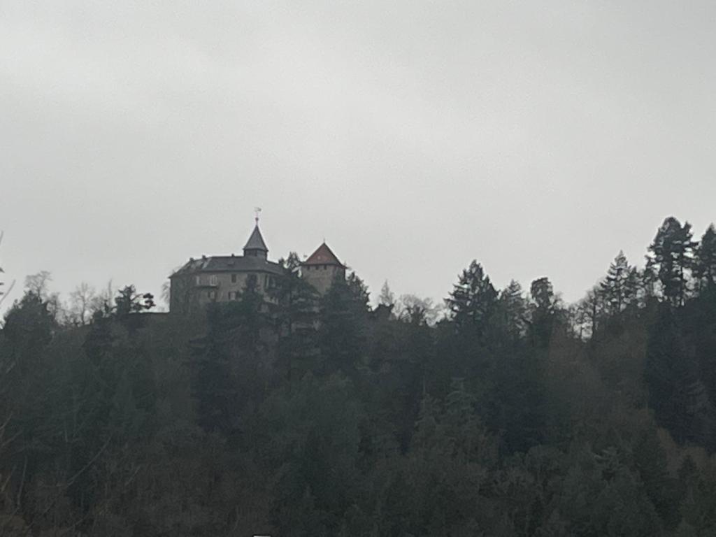 Fotografie z fotogalerie ubytování Mira v destinaci Gernsbach