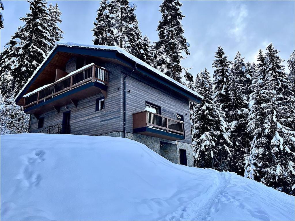 a wooden cabin with a balcony in the snow at Apartmán pod Demänovskou horou in Demanovska Dolina