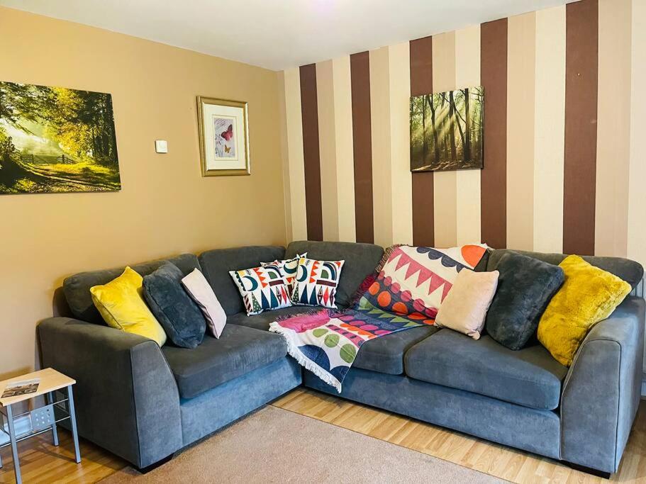 a living room with a blue couch with colorful pillows at Huntingdon walk to town centre, cosy, Free parking in Huntingdon
