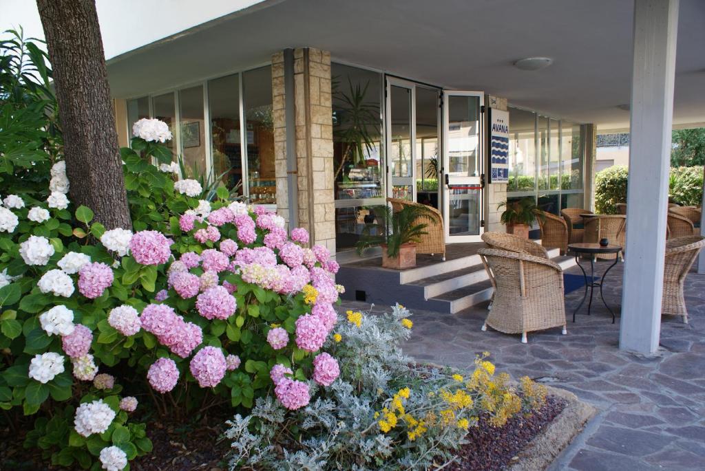 Zahrada ubytování Hotel B&B Avana