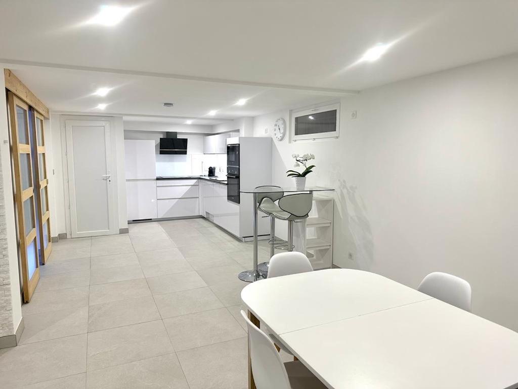 Kuchyň nebo kuchyňský kout v ubytování Appartement Le Léman