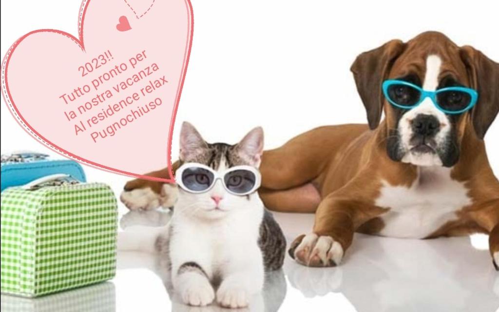 Zwierzęta zatrzymujące się w obiekcie Villetta Relax Pugnochiuso
