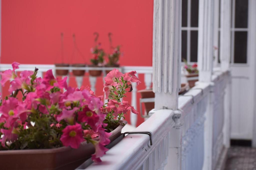 Zahrada ubytování Mango Hostel B&B