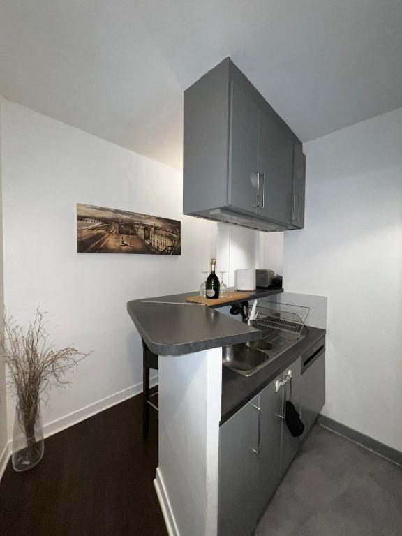 Kuchyňa alebo kuchynka v ubytovaní Superbe 2 Chambres Proche Montmartre