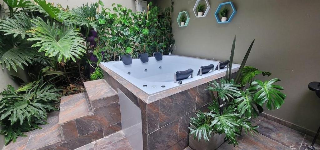 une baignoire dans un jardin avec des plantes dans l'établissement Libertador, à Medellín