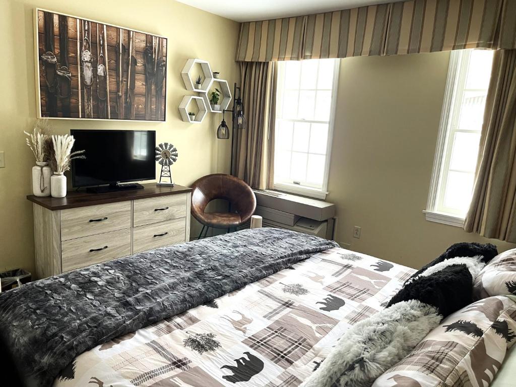 een slaapkamer met een bed en een tv op een dressoir bij Mountain View Suite Sleeps 4 Ski OnOff Jiminy Peak in Hancock