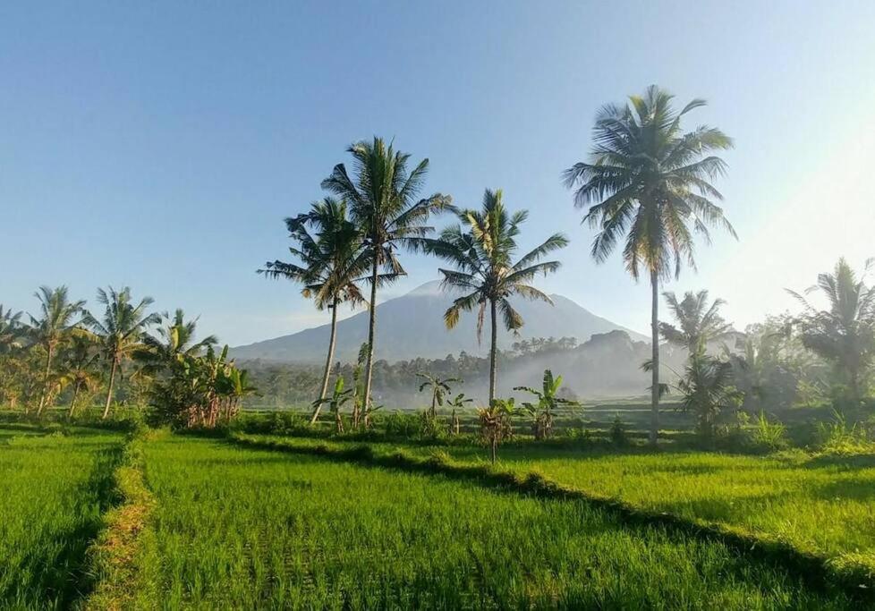 Villa & Farm for 5, near Sidemen w/ Mt. Agung View - Villa De Dos Dormitorios