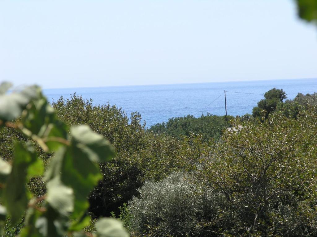 a view of the ocean from behind some trees at Beautiful Cottage in S West Crete near the sea in Palaiochóra