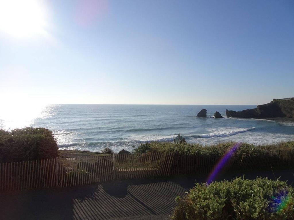 - une vue sur l'océan depuis une plage dotée d'une clôture dans l'établissement 3P, Parking, Calme, Lave-Linge, Lave-Vaisselle, Animaux admis - FR-1-702-35, au Cap d'Agde