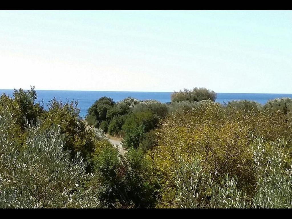 uma vista para o oceano de uma colina com árvores em Amazing Cottage close from the sea - Crete em Palaiochora