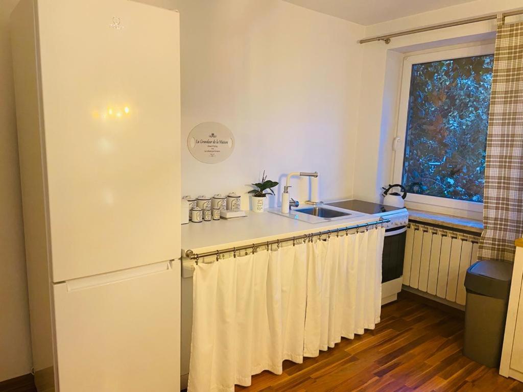 a kitchen with a sink and a counter top at Lux Plus apartament Chodzież, Zwycięstwa 13 in Chodzież