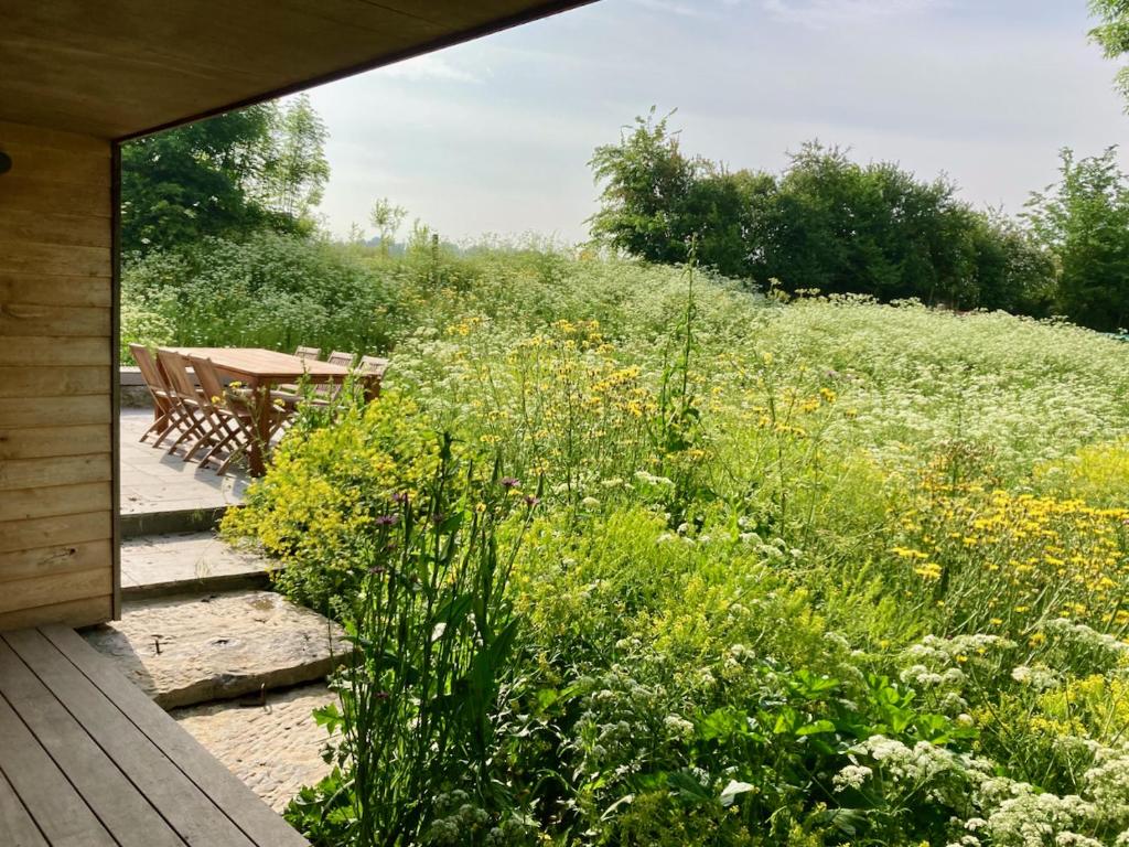 Zahrada ubytování Nachtegael Zomerhuis, idyllische woning in de Vlaamse Ardennen