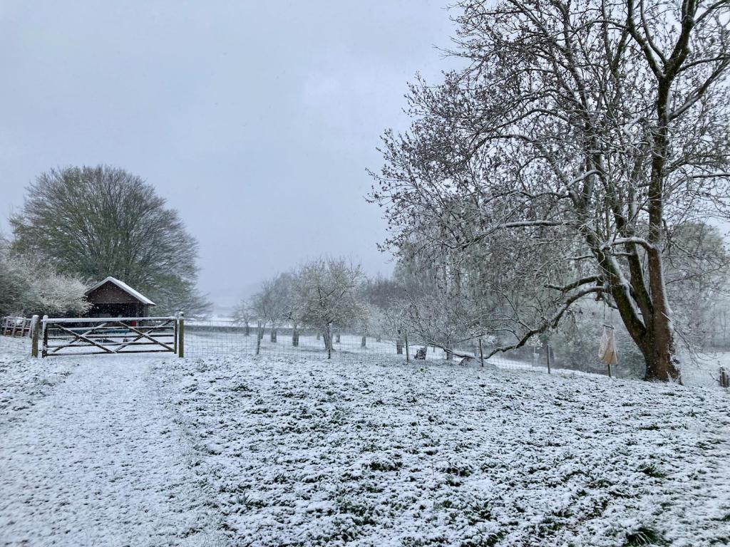 Nachtegael Zomerhuis, idyllische woning in de Vlaamse Ardennen v zimě