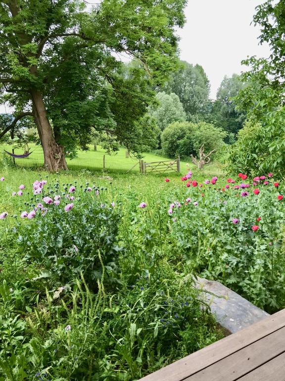 Zahrada ubytování Nachtegael Zomerhuis, idyllische woning in de Vlaamse Ardennen